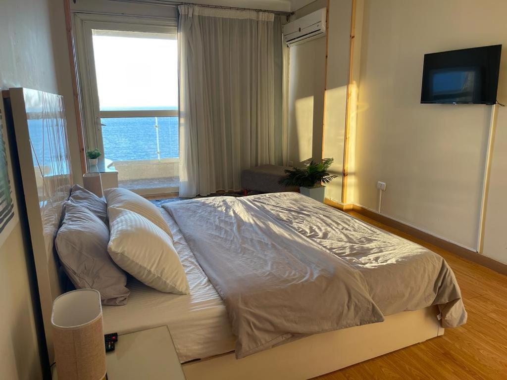 アレクサンドリアAlexander Houseアパートメント エクステリア 写真